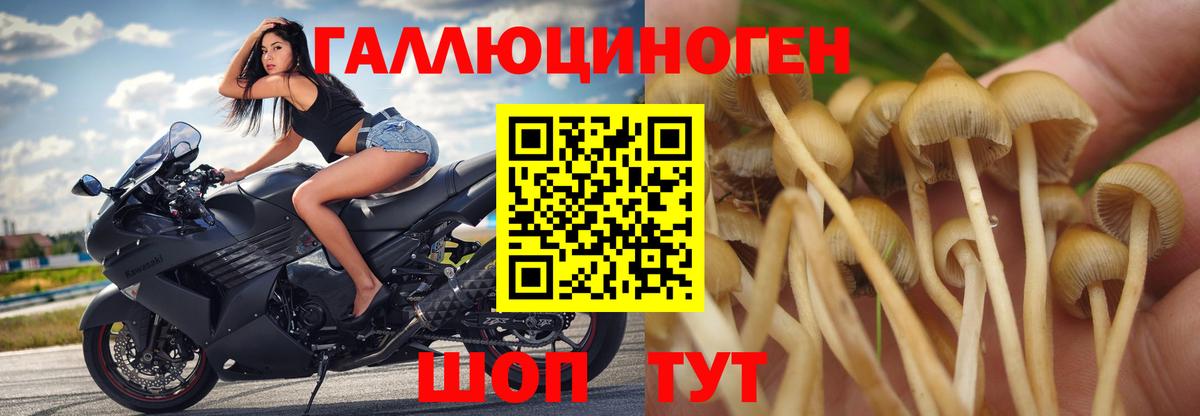 Нурлат  Галлюциногенные грибы Magic Shrooms  Псилоцибиновые грибы Psilocybe  Вход с VPN 